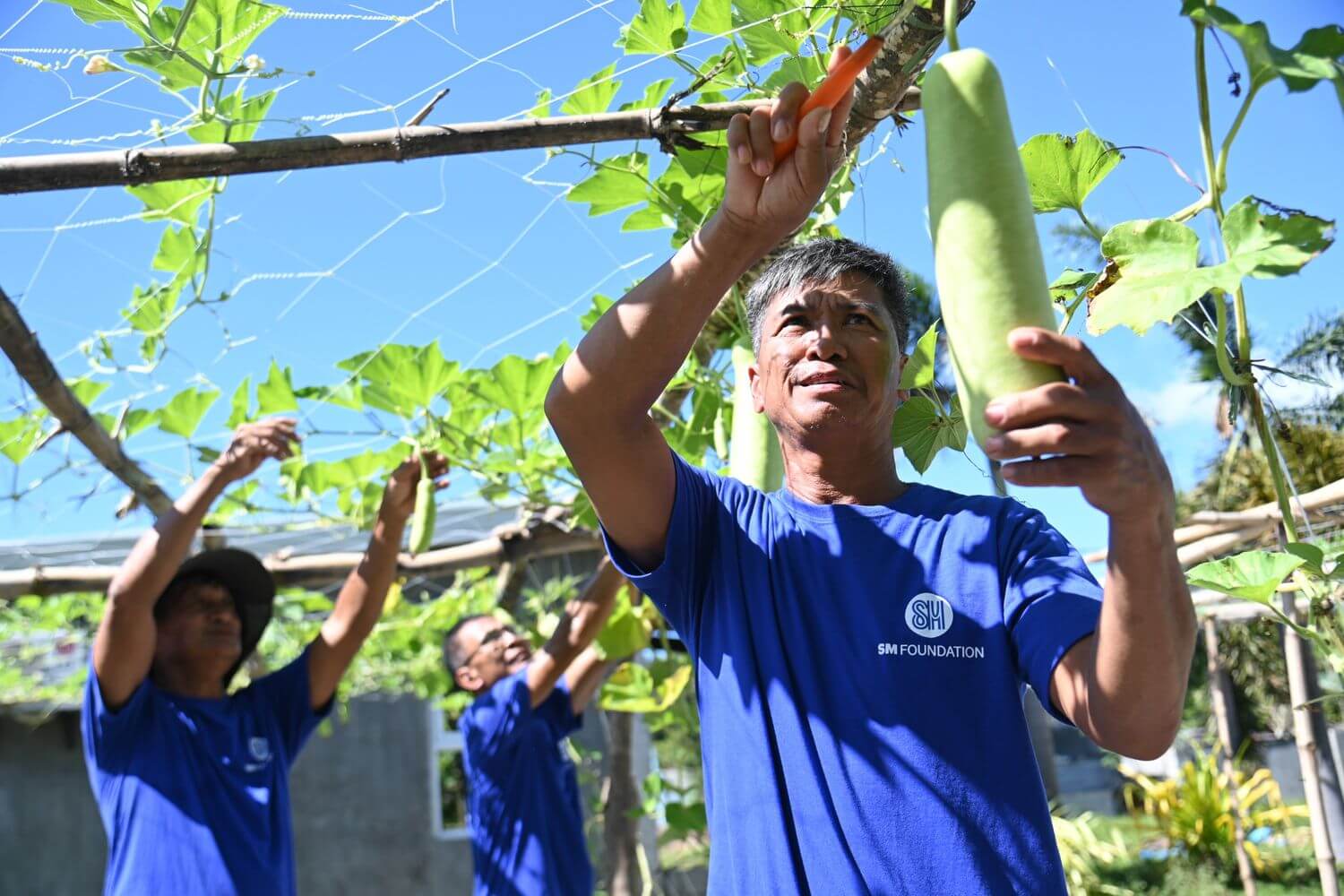 SM cultivates livelihood opportunities for smallholder farmers